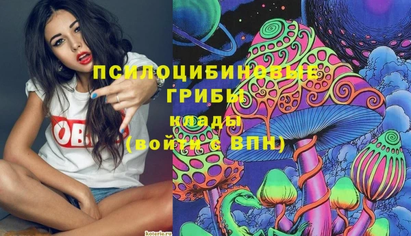 a pvp Алексин