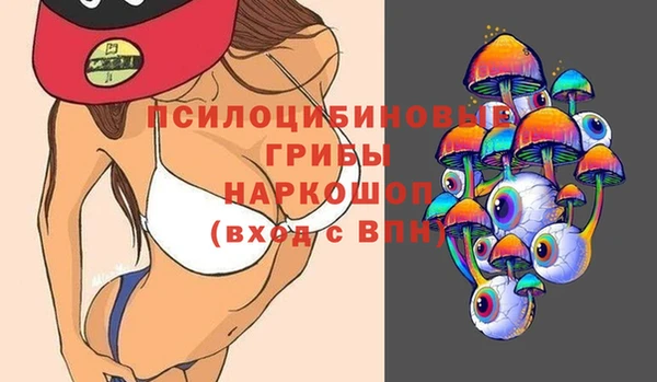 a pvp Алексин
