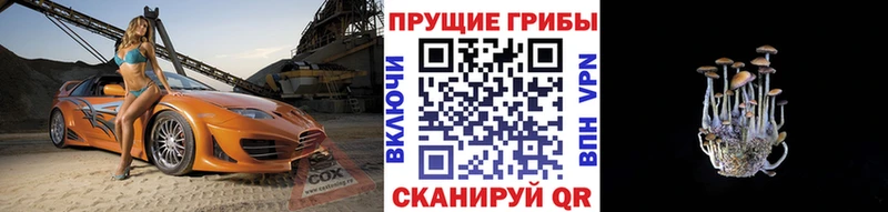 Галлюциногенные грибы мицелий  hydra зеркало  Олонец 